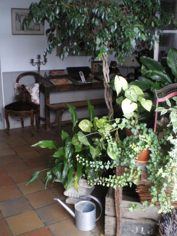 Bed and Breakfast Au Bon Gre D'Hugoline Blanzac  Exterior foto
