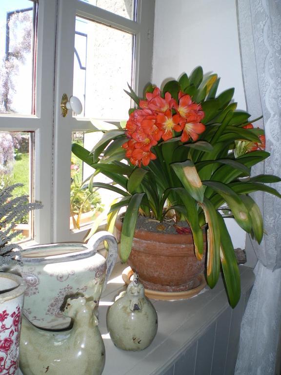 Bed and Breakfast Au Bon Gre D'Hugoline Blanzac  Exterior foto